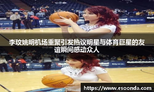 bsports.必一体育官网