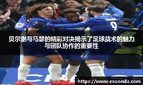 必一·运动(B-Sports)官方网站